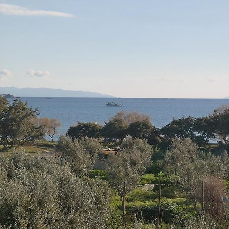 Mina'S Studios In Naxos Island Agios Prokopios  Buitenkant foto