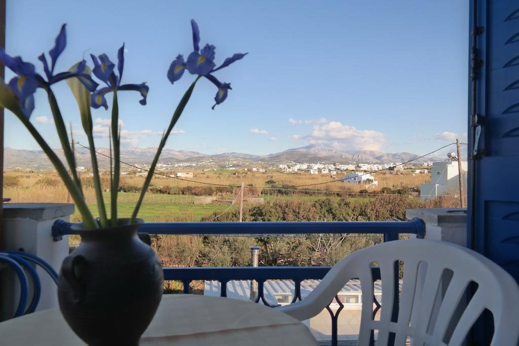 Mina'S Studios In Naxos Island Agios Prokopios  Buitenkant foto