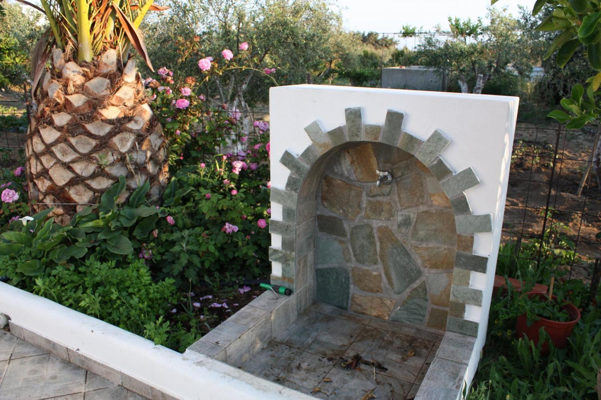Mina'S Studios In Naxos Island Agios Prokopios  Buitenkant foto