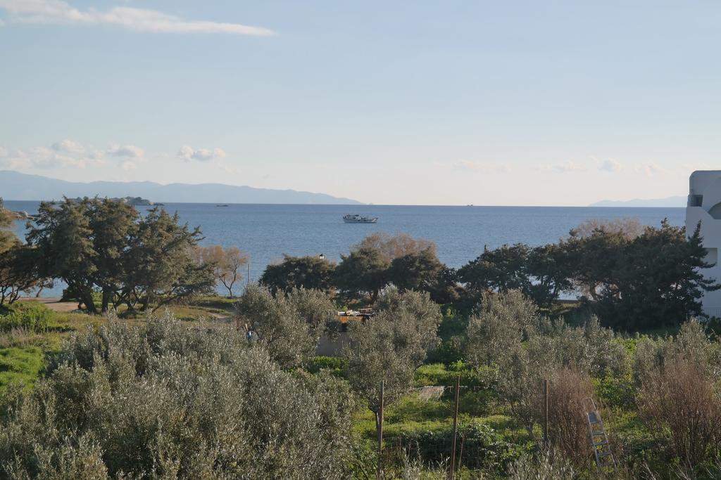 Mina'S Studios In Naxos Island Agios Prokopios  Buitenkant foto